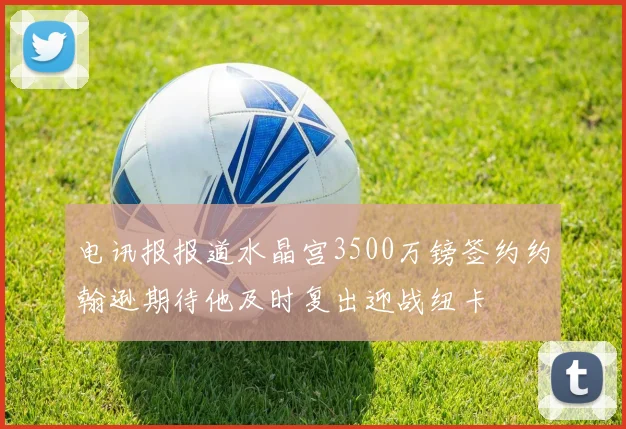 电讯报报道水晶宫3500万镑签约约翰逊期待他及时复出迎战纽卡